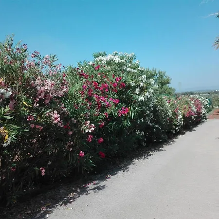 Pour Vacances En Espagne Villa *